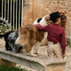 Children’s gardian Camargue moleskin pants - Vincent et Mireille