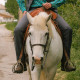 Men’s Camargue moleskin pants - Vincent et Mireille