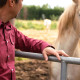 Men’s Camargue shirt "Cigales" - Vincent et Mireille
