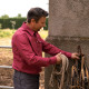 Men’s Camargue shirt "Cigales" - Vincent et Mireille