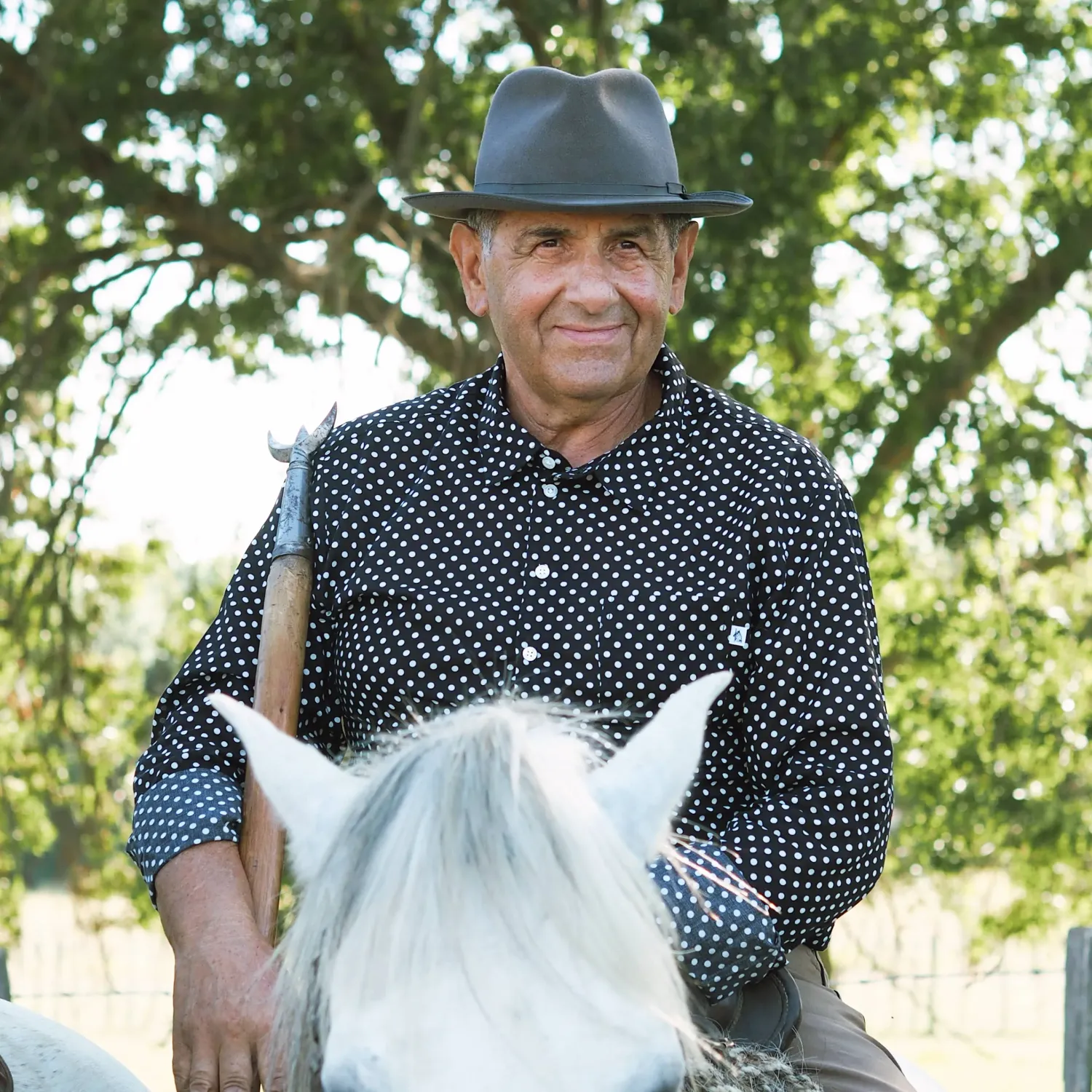 Men’s Gardian cotton voile shirt "polka dot"