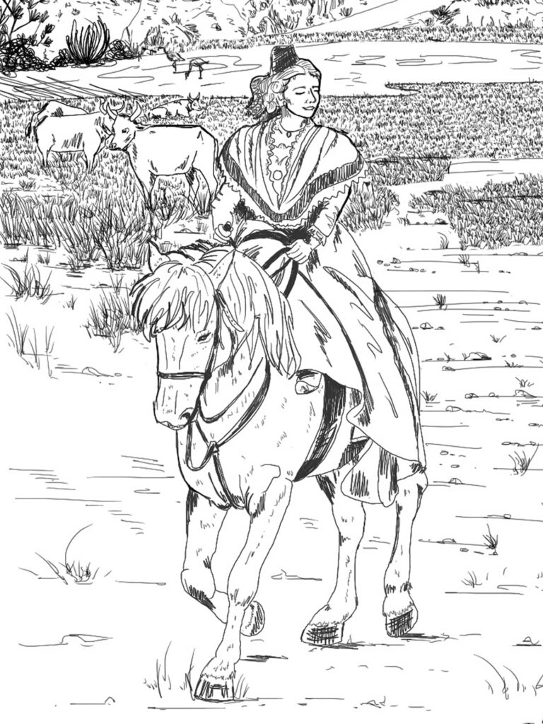 dessin cheval camargue 