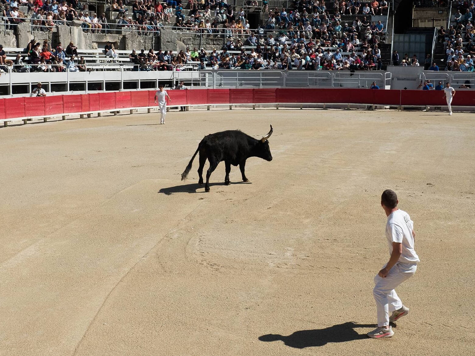 Vêtements traditionnels du raseteur de la course camarguaise