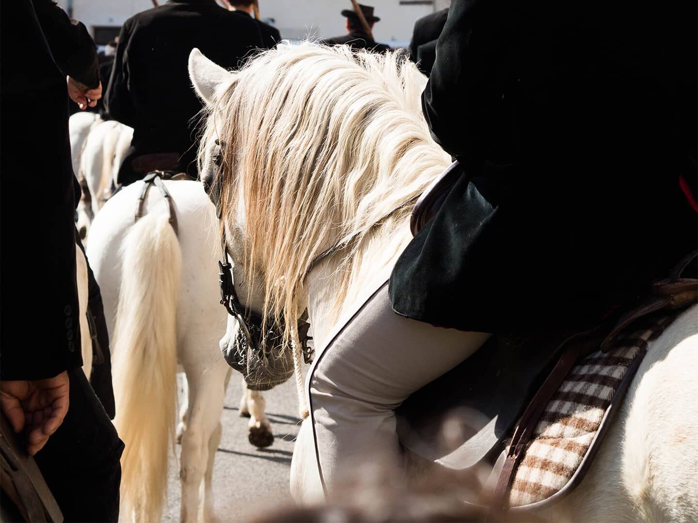 Vêtements traditionnels du Gardian de Camargue