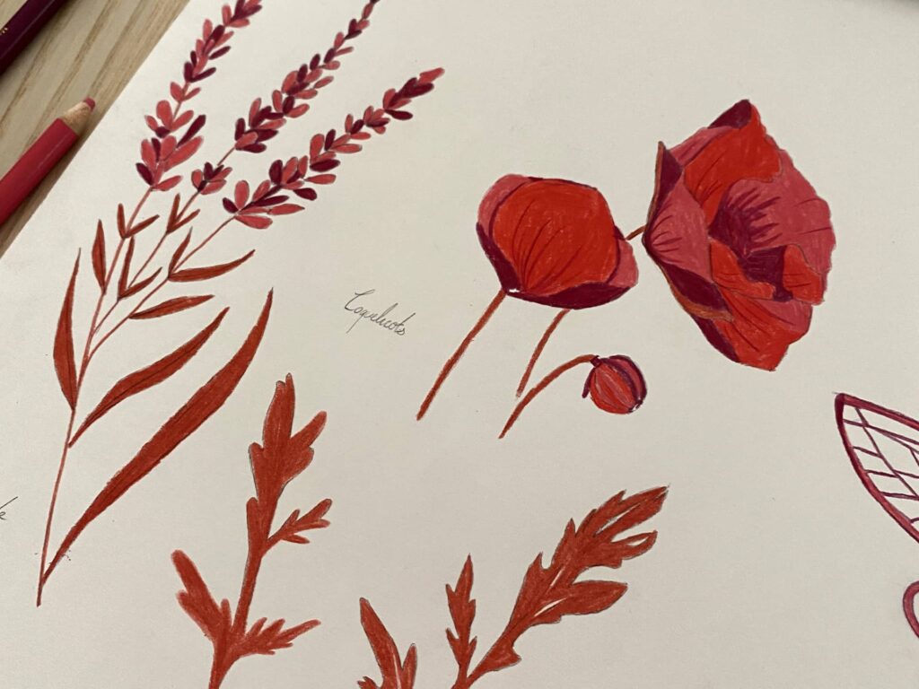 Dessin de motif provençal floral