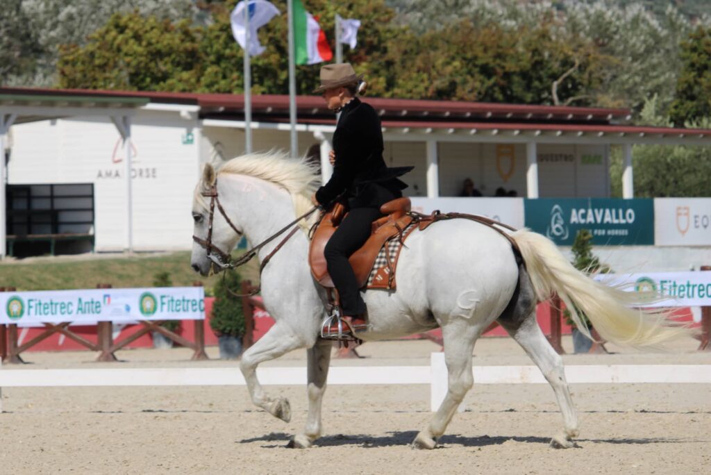 Morgane Roche et son cheval Duende lors de l'épreuve de dressage des championnats d'Europe d'équitation de traval