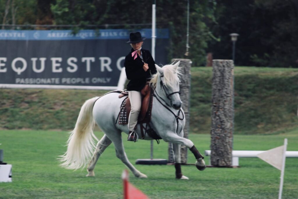 Morgane ROCHE Équitation Camargue