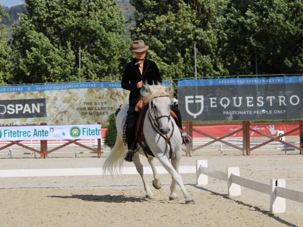 Morgane ROCHE épreuve de dressage équitation de travail et de tradition